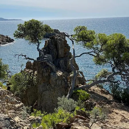 Geko * La Garde (Var)