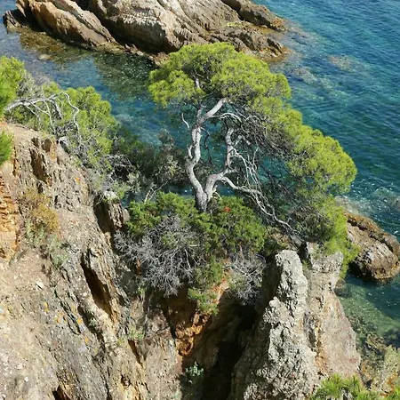 Geko Apartamento La Garde (Var)
